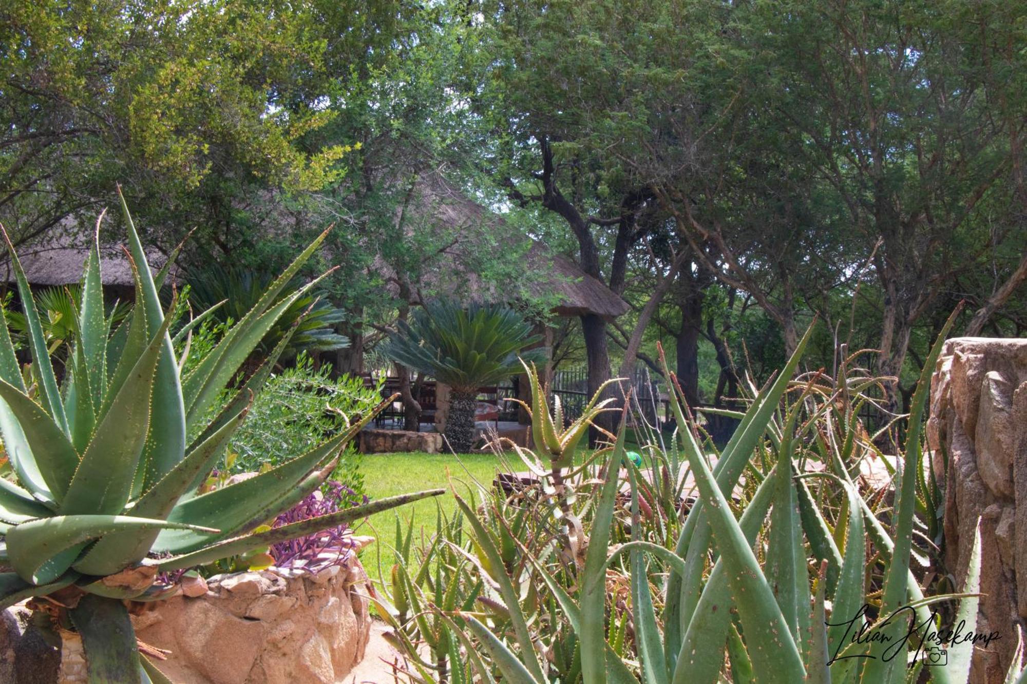 Hasekamp Family Bush Lodge Hoedspruit Exterior foto