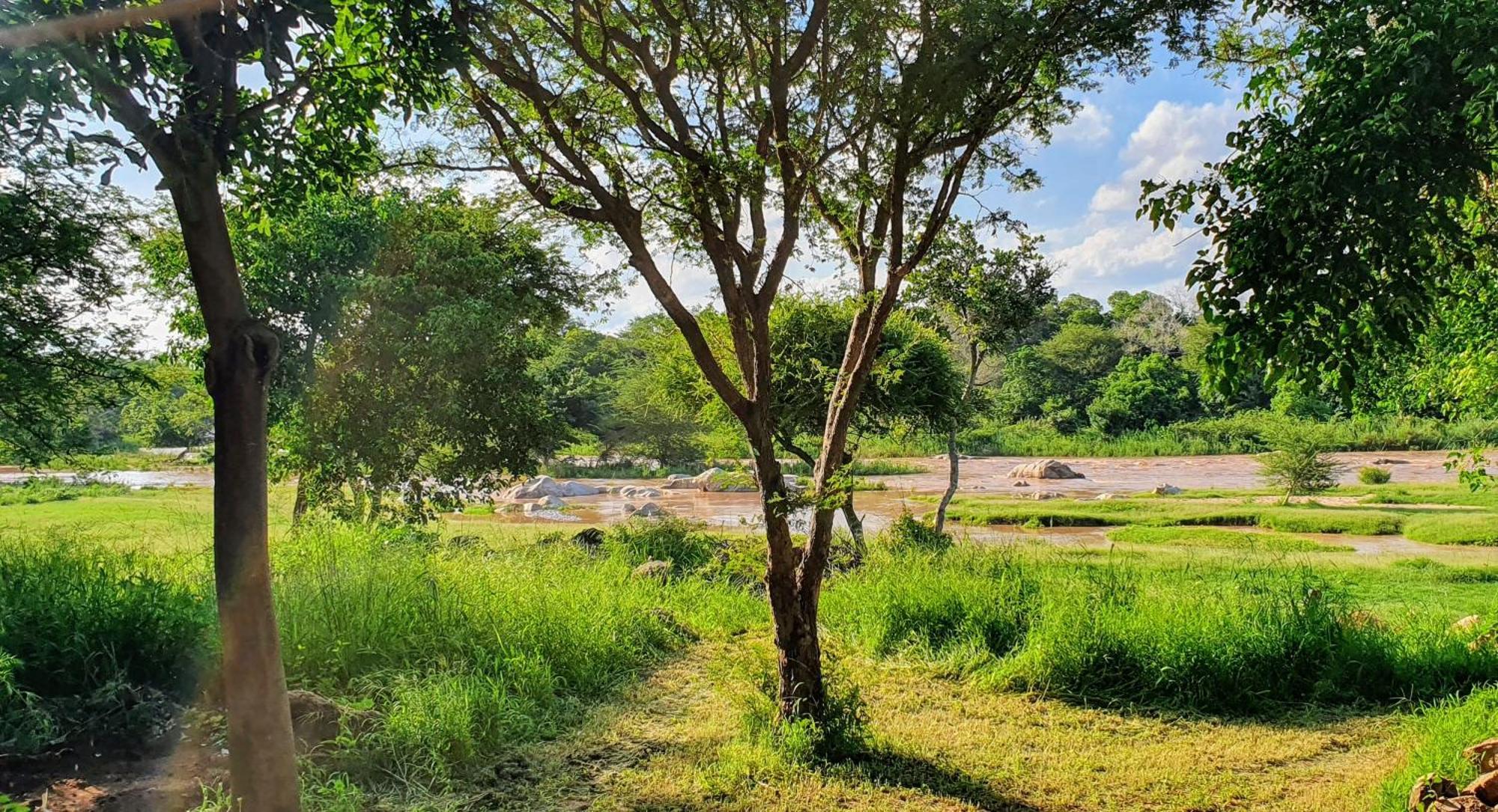 Hasekamp Family Bush Lodge Hoedspruit Exterior foto